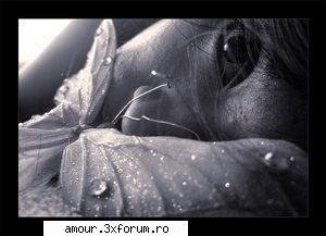 pe acilea nu esti hani? :rolleyes: :nono: crafenea