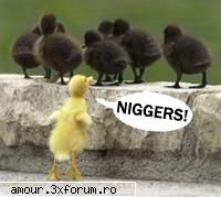 POZE FUNNY - all U mother fuckers - Sectiunea Funny