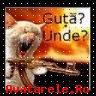 of urasc.... :finger: pareri pro sau contra manele