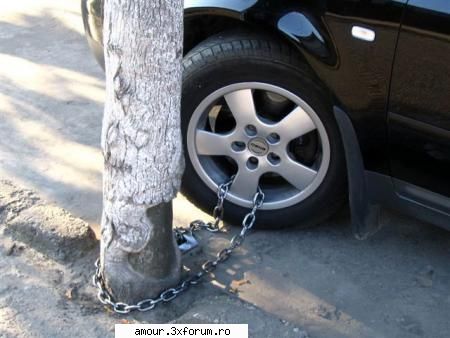 Poze cu masini - ce ati pus voi acolo sunt minciuni de masini fiti - De Toate Pentru Toti