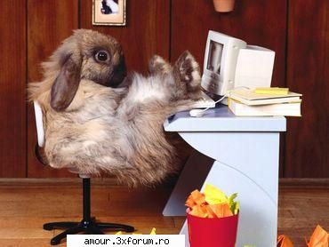 Poze pe care nu le accepta multi - uite'ma si pe mine..in timpul liber - Sectiunea Funny